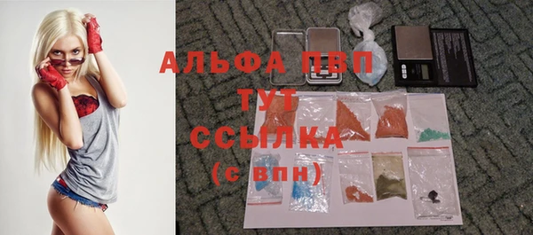 соль ск Новодвинск